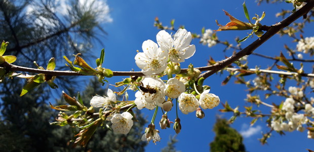 Ogród rodzinny - nasz mały raj