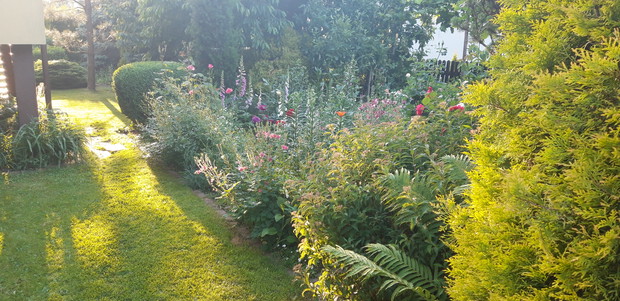 Ogród rodzinny - nasz mały raj