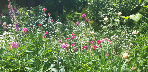 Ogród rodzinny - nasz mały raj