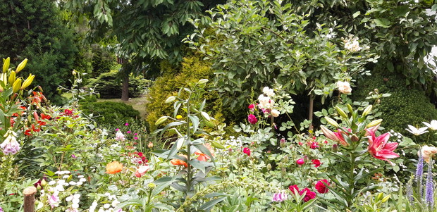 Ogród rodzinny - nasz mały raj