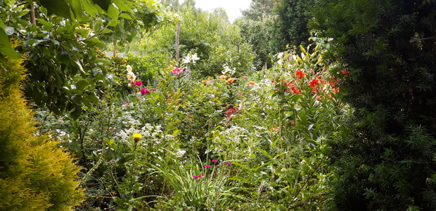 Ogród rodzinny - nasz mały raj