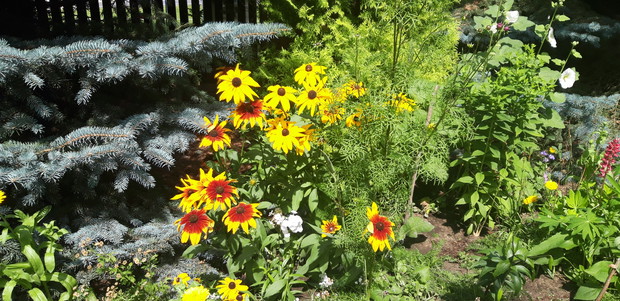 Ogród rodzinny - nasz mały raj