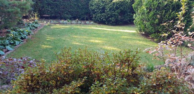 Ogród rodzinny - nasz mały raj