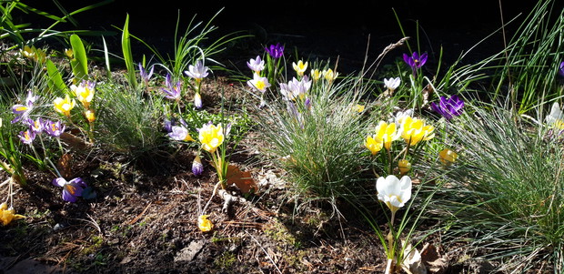 Ogród rodzinny - nasz mały raj