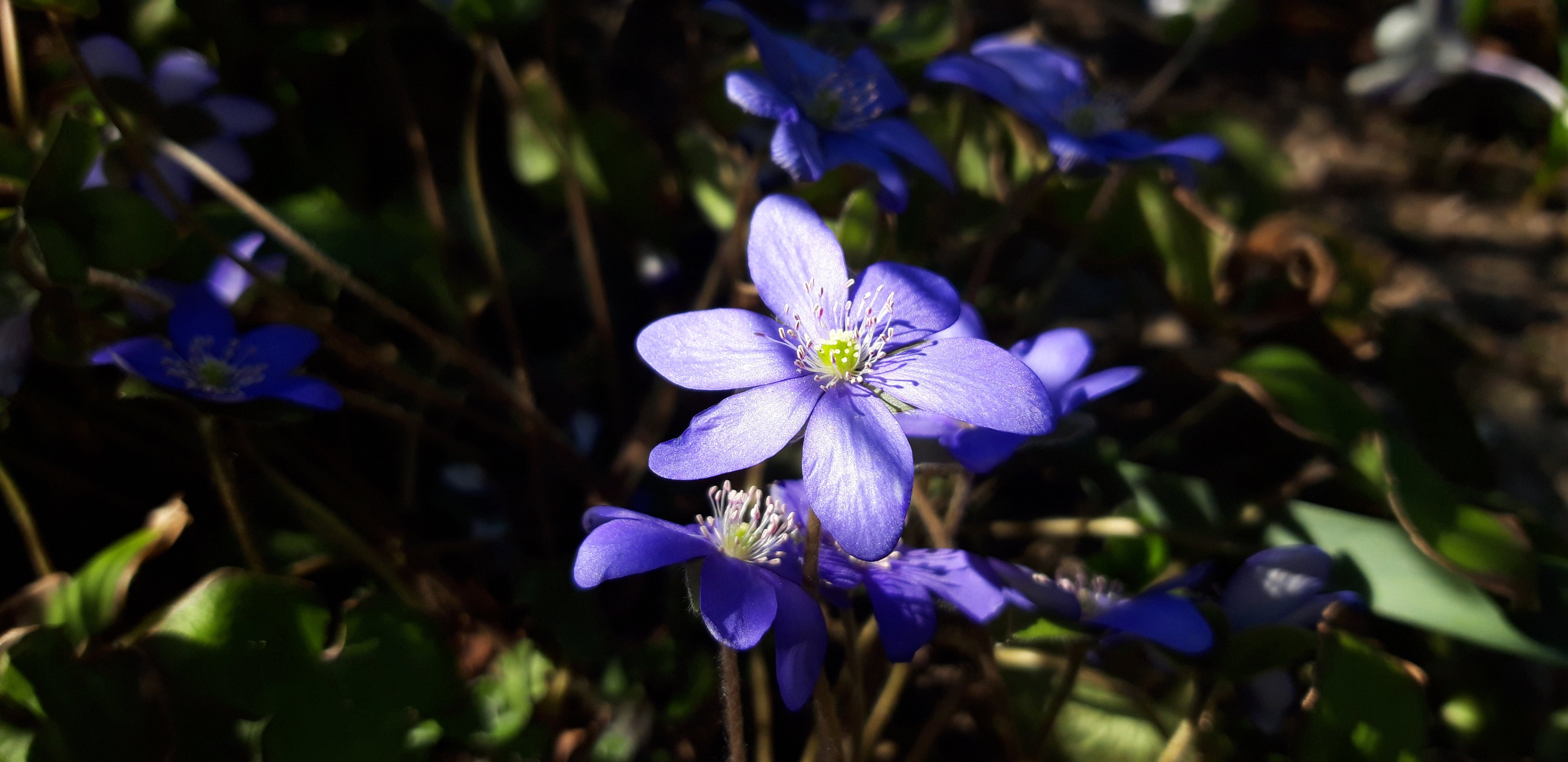 Ogród rodzinny - nasz mały raj