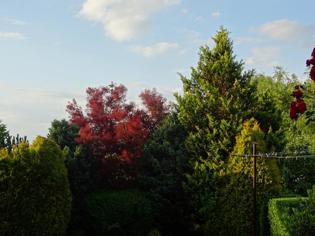 Ogród rodzinny - nasz mały raj