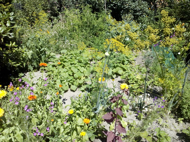 Ogród rodzinny - nasz mały raj