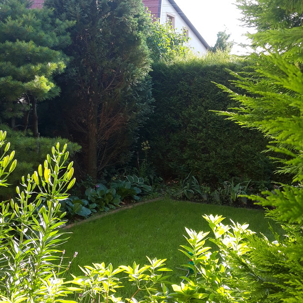 Ogród rodzinny - nasz mały raj