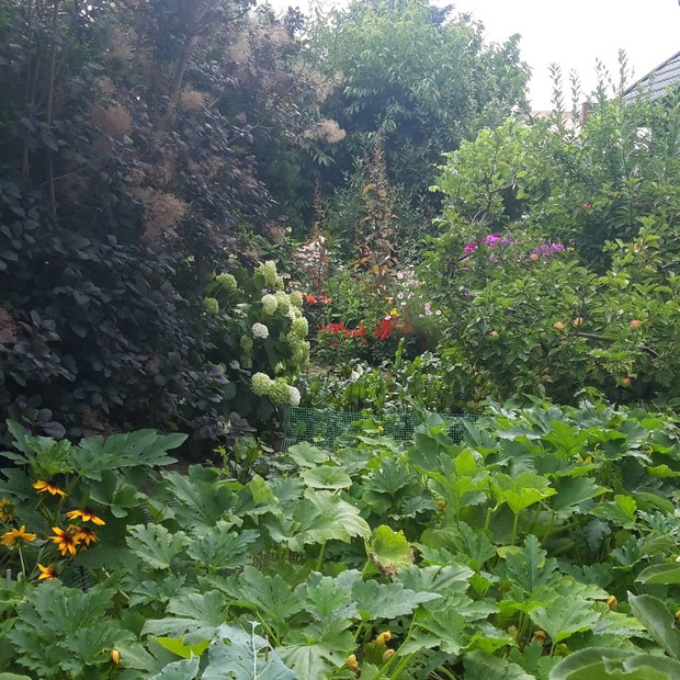 Ogród rodzinny - nasz mały raj