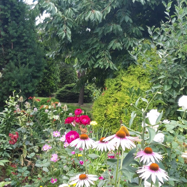 Ogród rodzinny - nasz mały raj