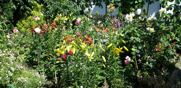 Ogród rodzinny - nasz mały raj