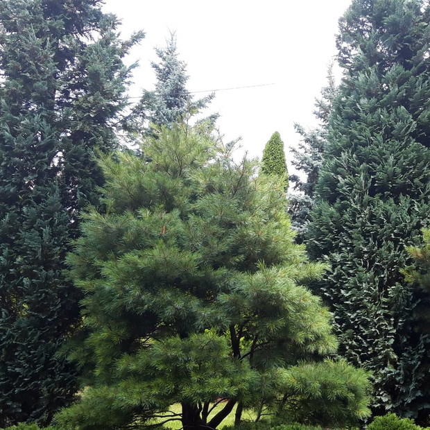 Ogród rodzinny - nasz mały raj