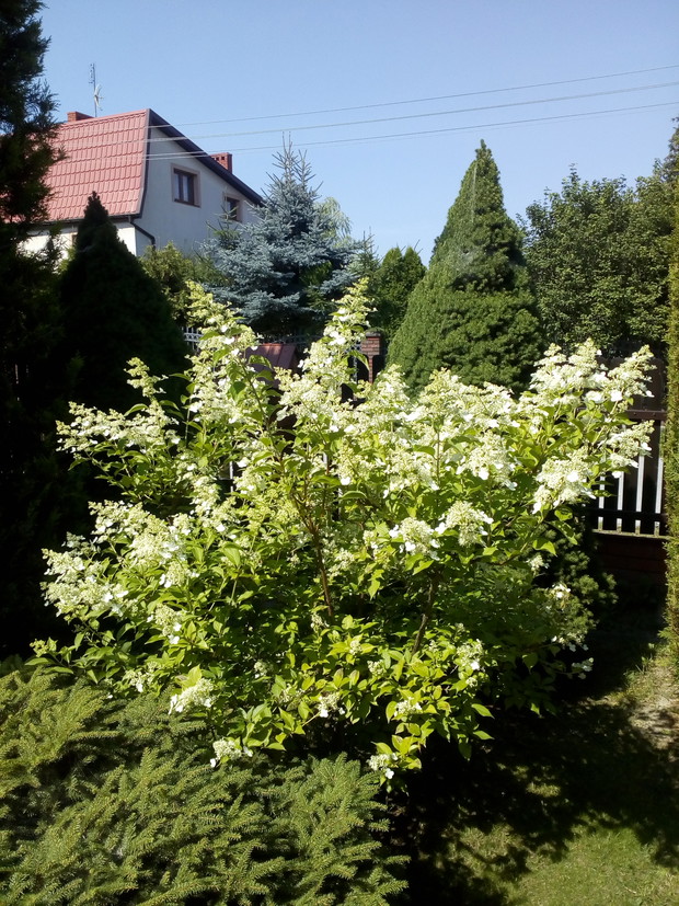 Ogród rodzinny - nasz mały raj