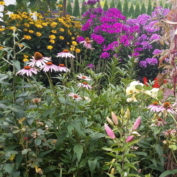 Ogród rodzinny - nasz mały raj