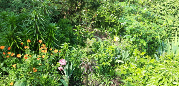 Ogród rodzinny - nasz mały raj