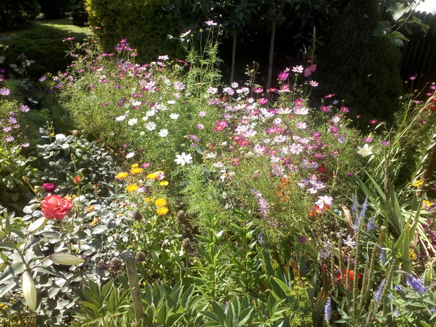 Ogród rodzinny - nasz mały raj