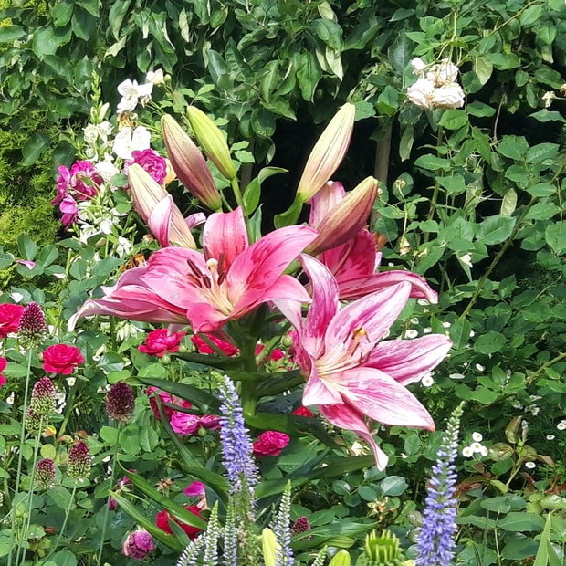 Ogród rodzinny - nasz mały raj