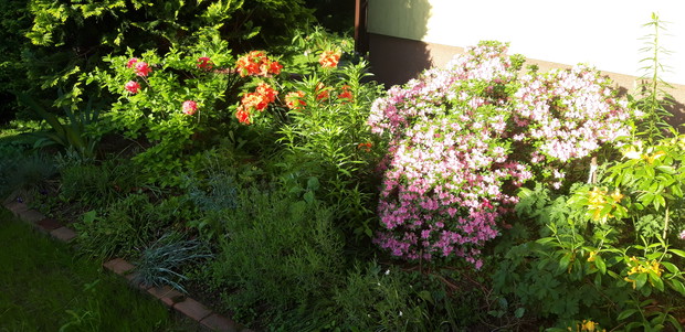 Ogród rodzinny - nasz mały raj