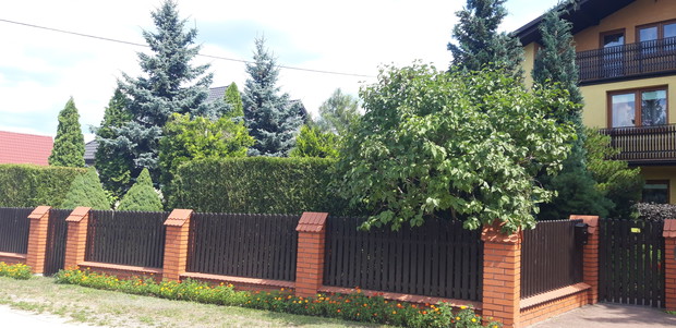 Ogród rodzinny - nasz mały raj