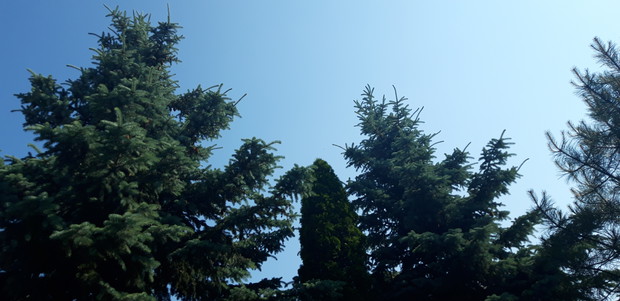 Ogród rodzinny - nasz mały raj