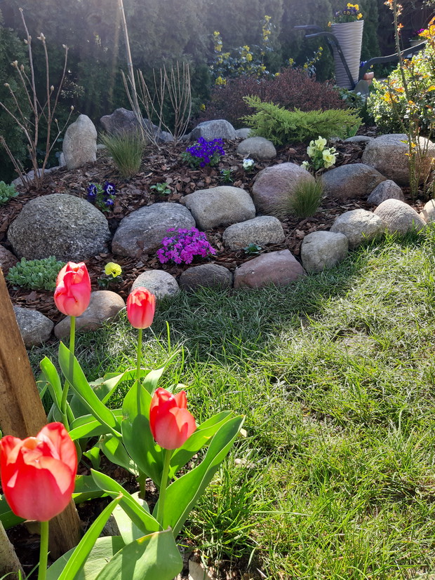 Skalniak pewnego kwietniowego poranka