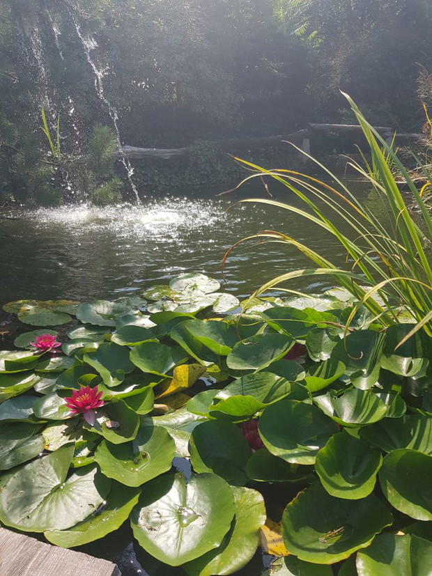 Trochę wody dla ochłody