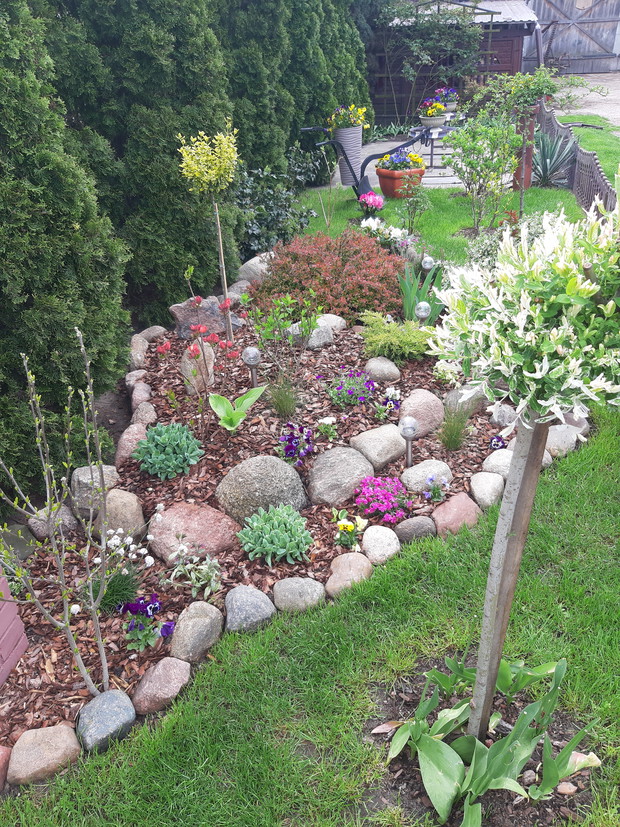 W całej okazałości