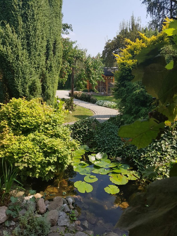 Zieleń w kilku odmianach