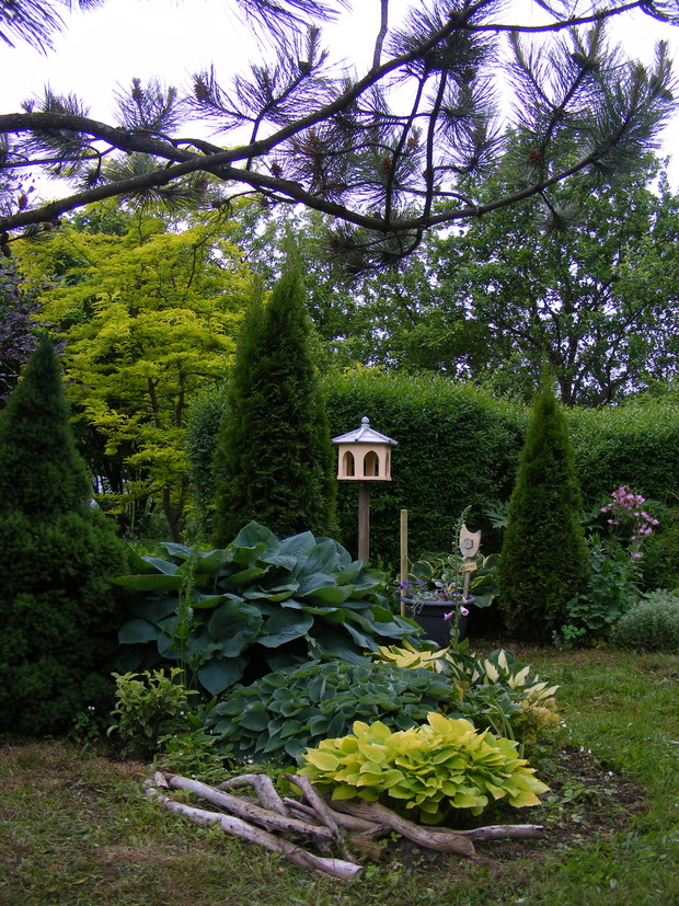 Hosty, karmik i glediczia