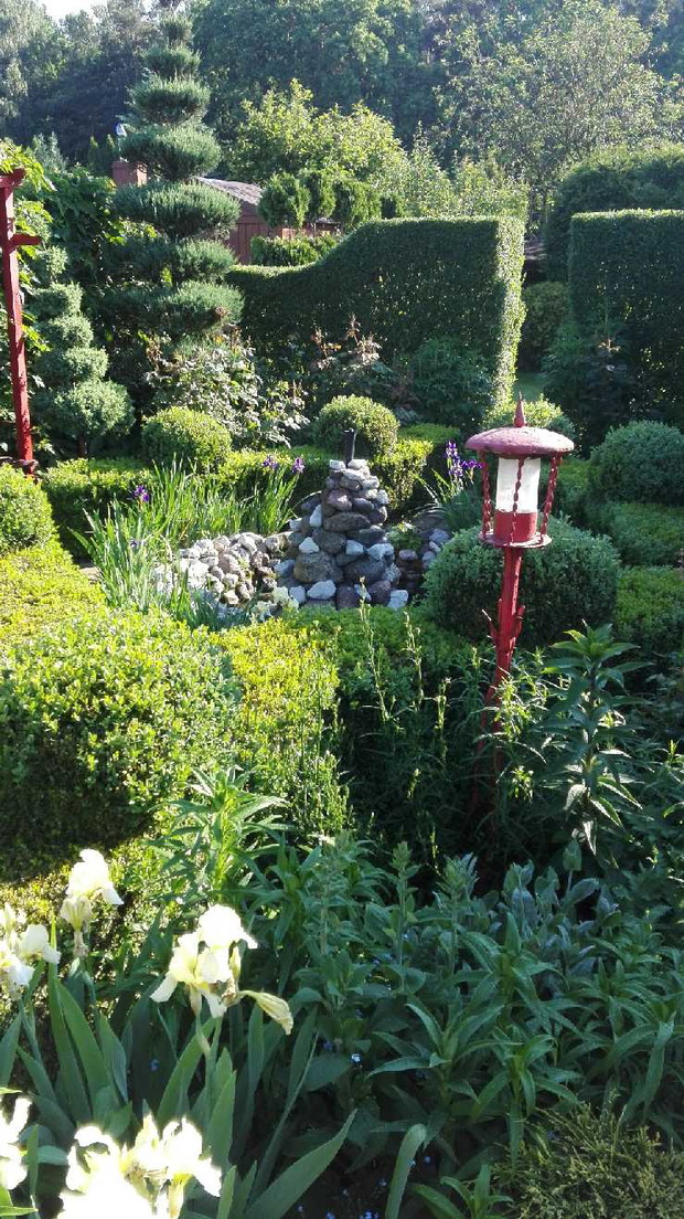 Iglaki w wiosennej odsłonie