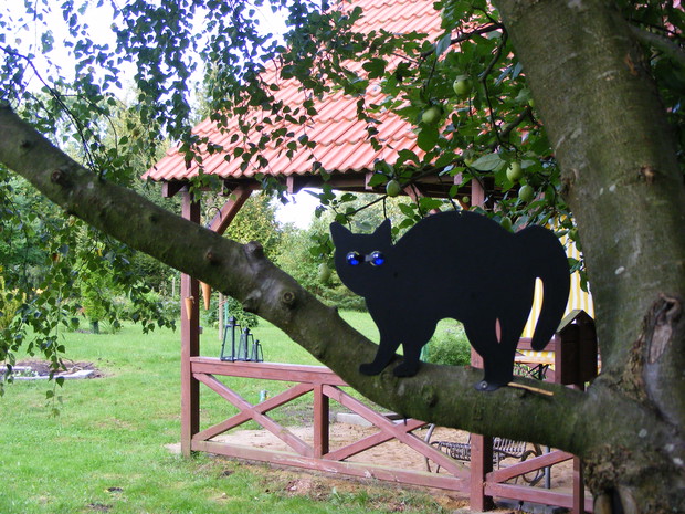 Metalowy kot na jabłonce która się sama posiała