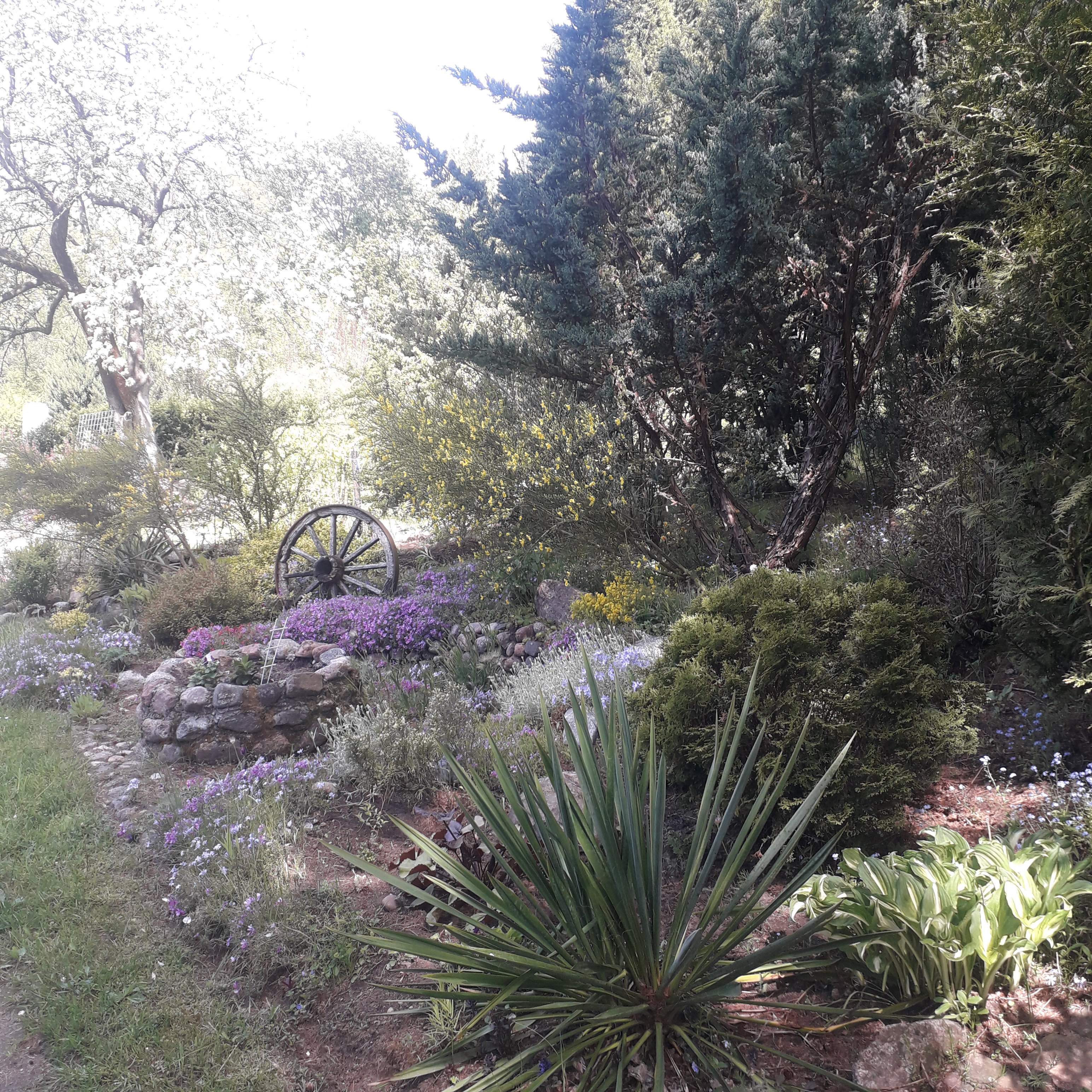 Przy wejściu na posesję