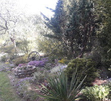 Przy wejściu na posesję