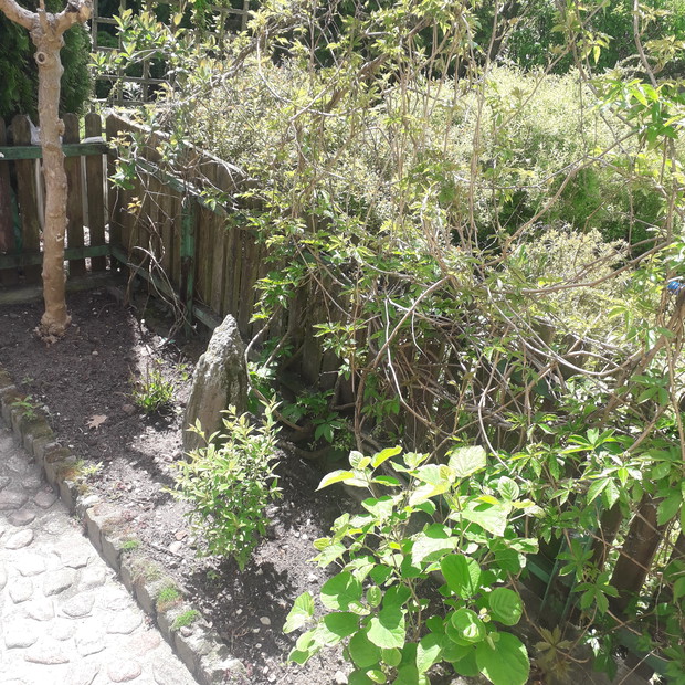 Przy wyjściu z domu