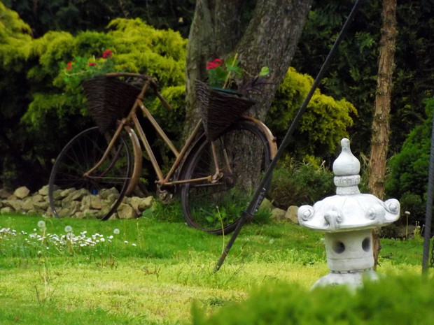 Rower podorą dla werbeny