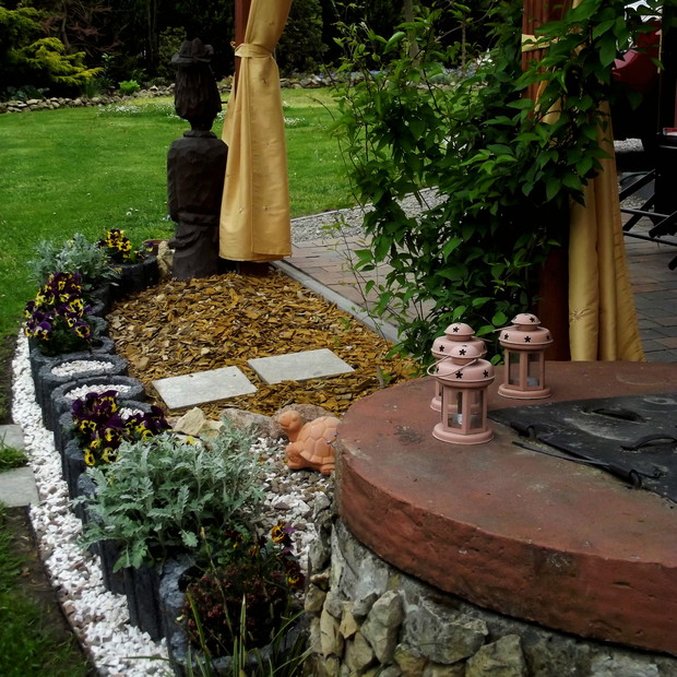 Stały bywalec altanki