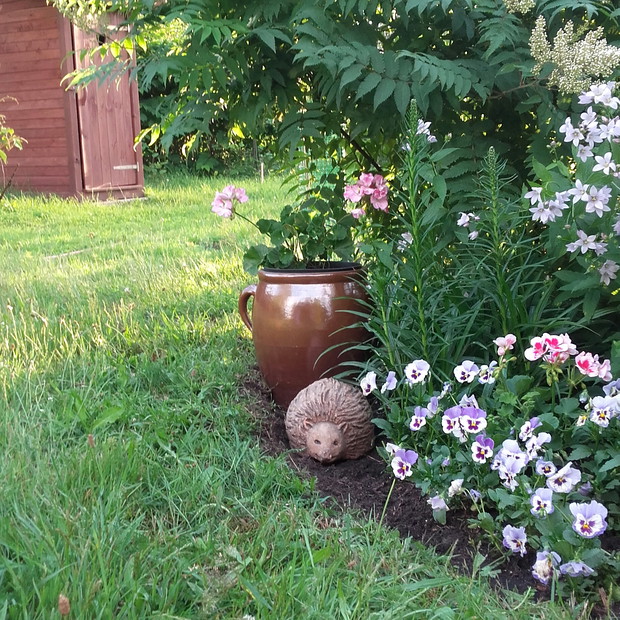 Tawlina jarzębinolistna, latria i jeż