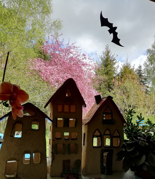 Widok na jabłoń z domu