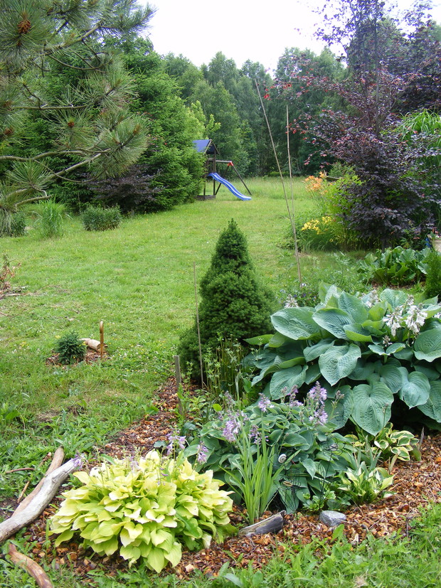 Widok na środkową część ogrodu