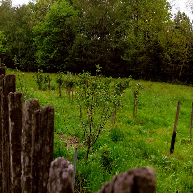 Wyczekując obfitości