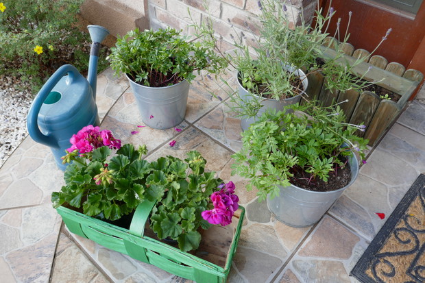 Doborowe towarzystwo