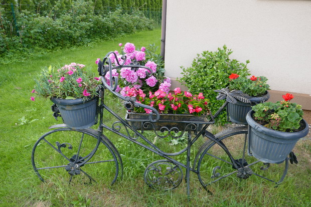 Rowerowe szaleństwo