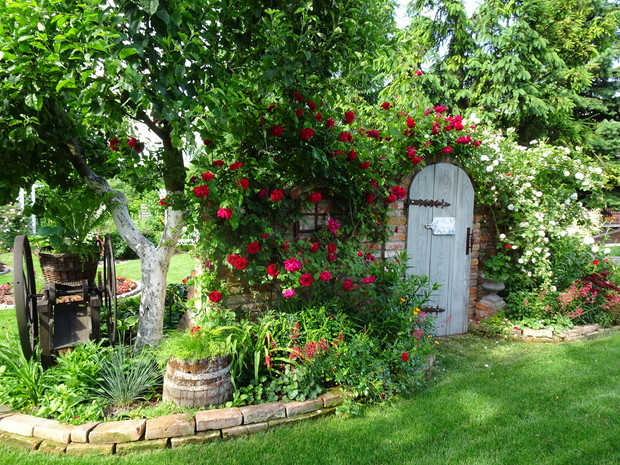 Drugie życie sieczkarni