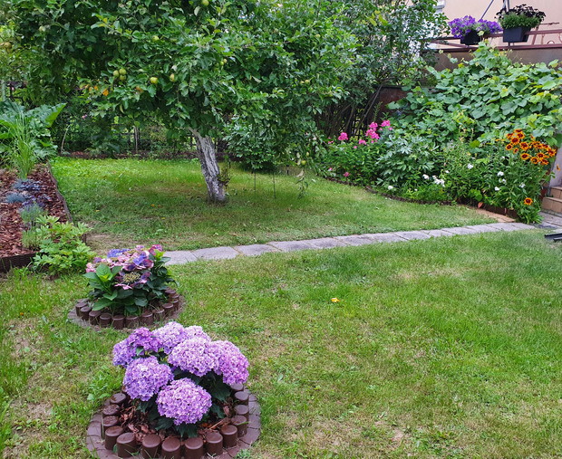 Fioletowa linia przy ogrodzeniu.