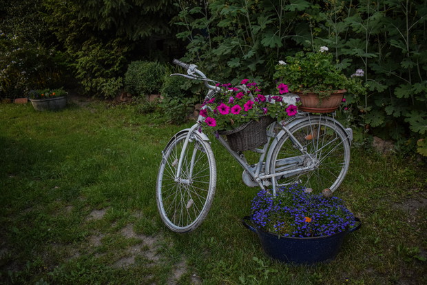 Nic się nie zmarnuje 3