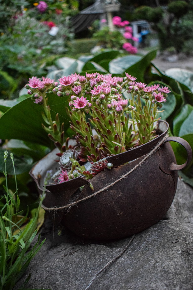 Nic się nie zmarnuje 4