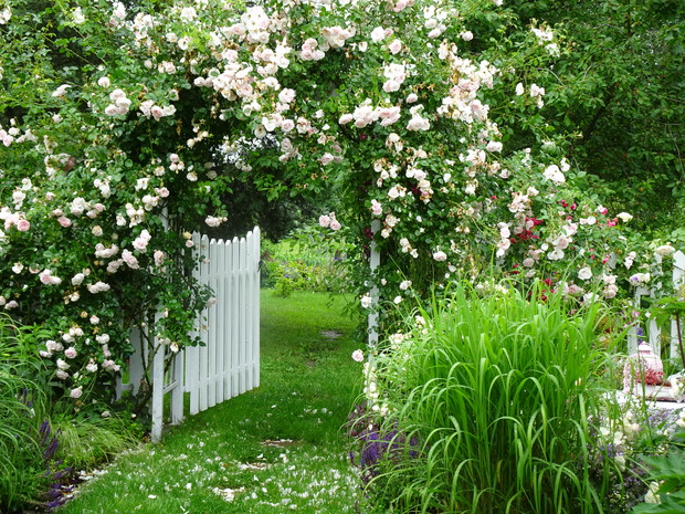 Wejście warzywnego raju