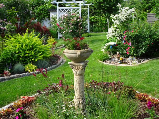 Widok na pawie oczko