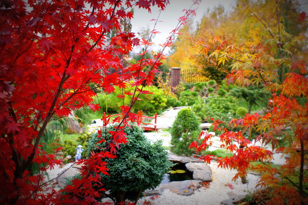 Widok na stronę północną ogrodu