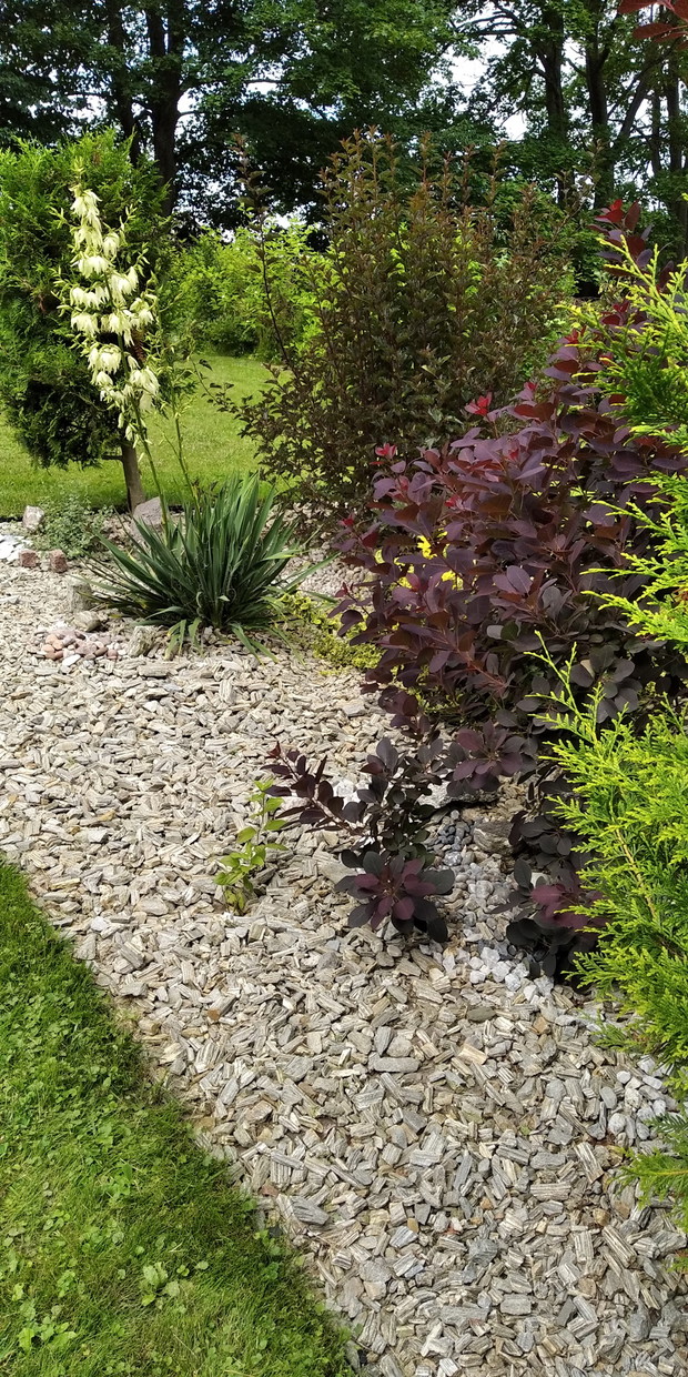 Wśród gnejsowej kory